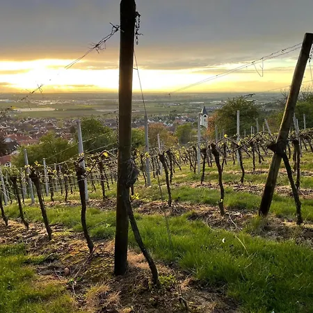 Apartament Maisonette-ferienwohnung In Feldrandlage Bergstrasse Naehe Heidelberg Hirschberg an der Bergstraße