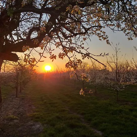 Maisonette-ferienwohnung In Feldrandlage Bergstrasse Naehe Heidelberg Apartament *