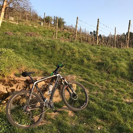 Apartament Maisonette-ferienwohnung In Feldrandlage Bergstrasse Naehe Heidelberg