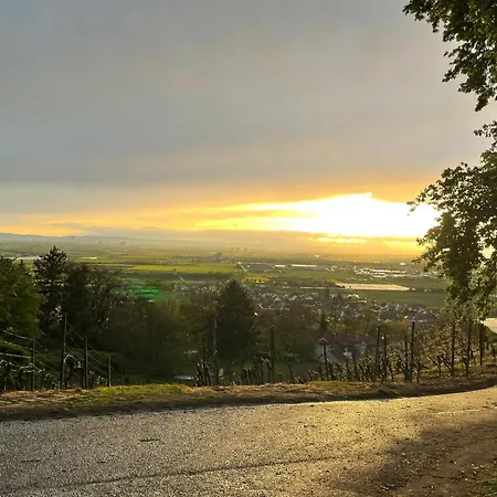 Apartament Maisonette-ferienwohnung In Feldrandlage Bergstrasse Naehe Heidelberg *