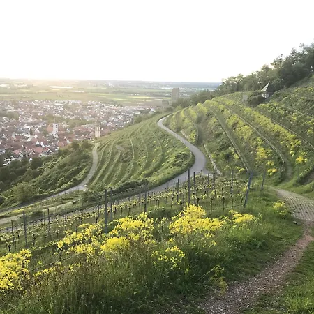 Maisonette-ferienwohnung In Feldrandlage Bergstrasse Naehe Heidelberg *