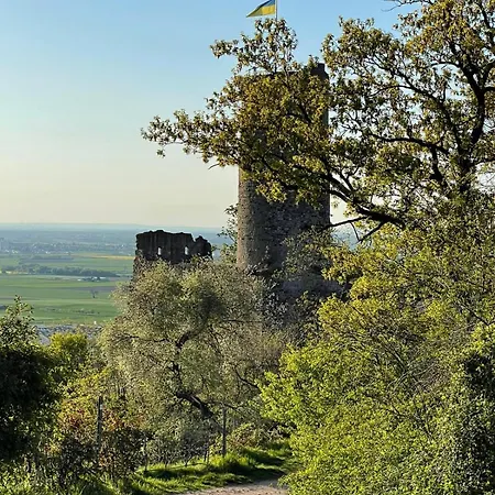 Maisonette-ferienwohnung In Feldrandlage Bergstrasse Naehe Heidelberg Hirschberg an der Bergstraße