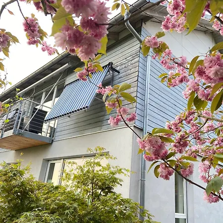 Maisonette-ferienwohnung In Feldrandlage Bergstrasse Naehe Heidelberg * Hirschberg an der Bergstrasse